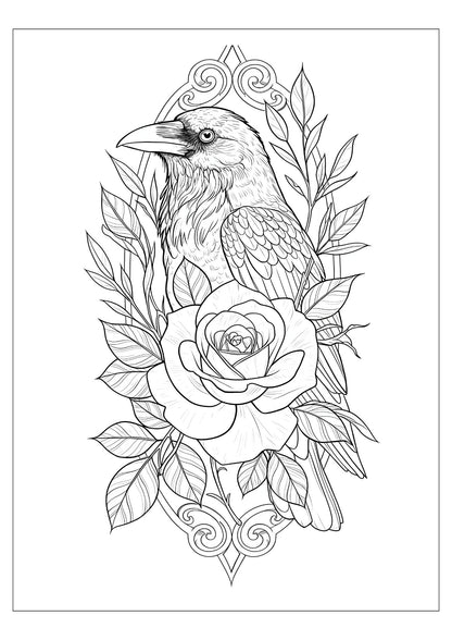 Skull Serenity Coloring Book for Adults