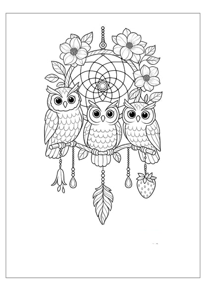 Dream Catcher Coloring Book for Adults