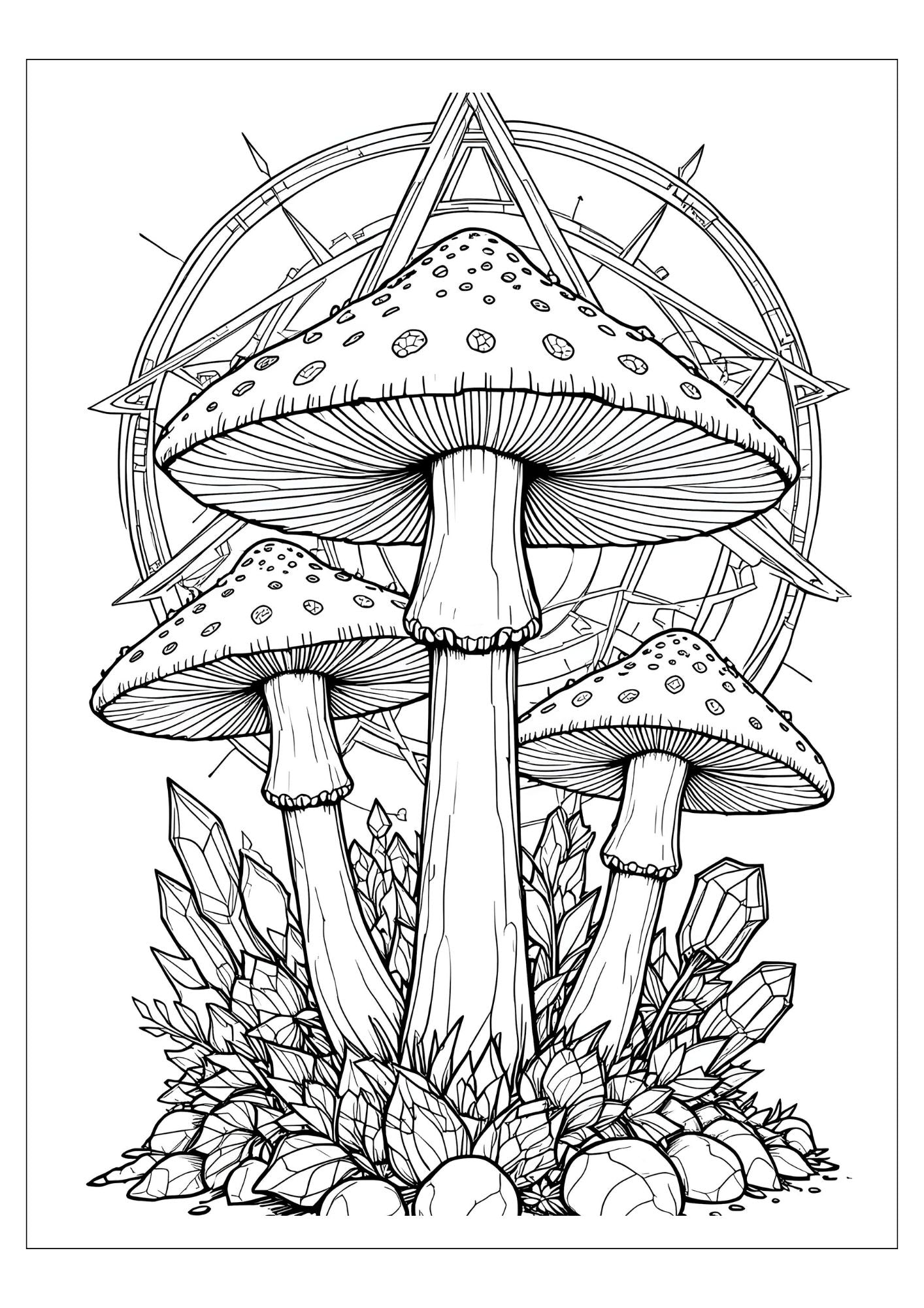 Enchanted Mushroom Coloring Book for Adults