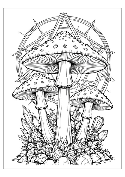 Enchanted Mushroom Coloring Book for Adults